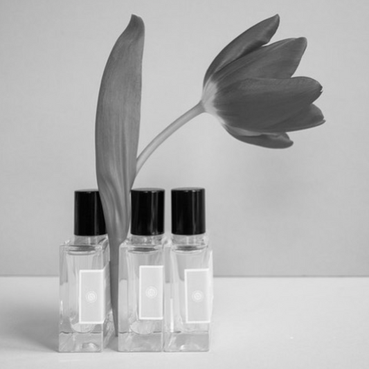 Introducing Bon Parfumeur Paris