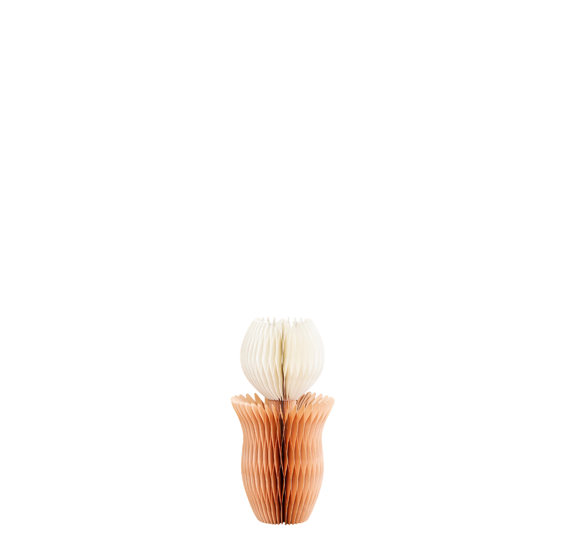 Paper Decor Tulip | Vanilla + Flaxseed | 30cm
