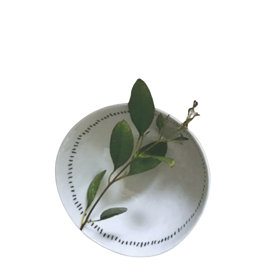 Porcelain Bowl | Lines
