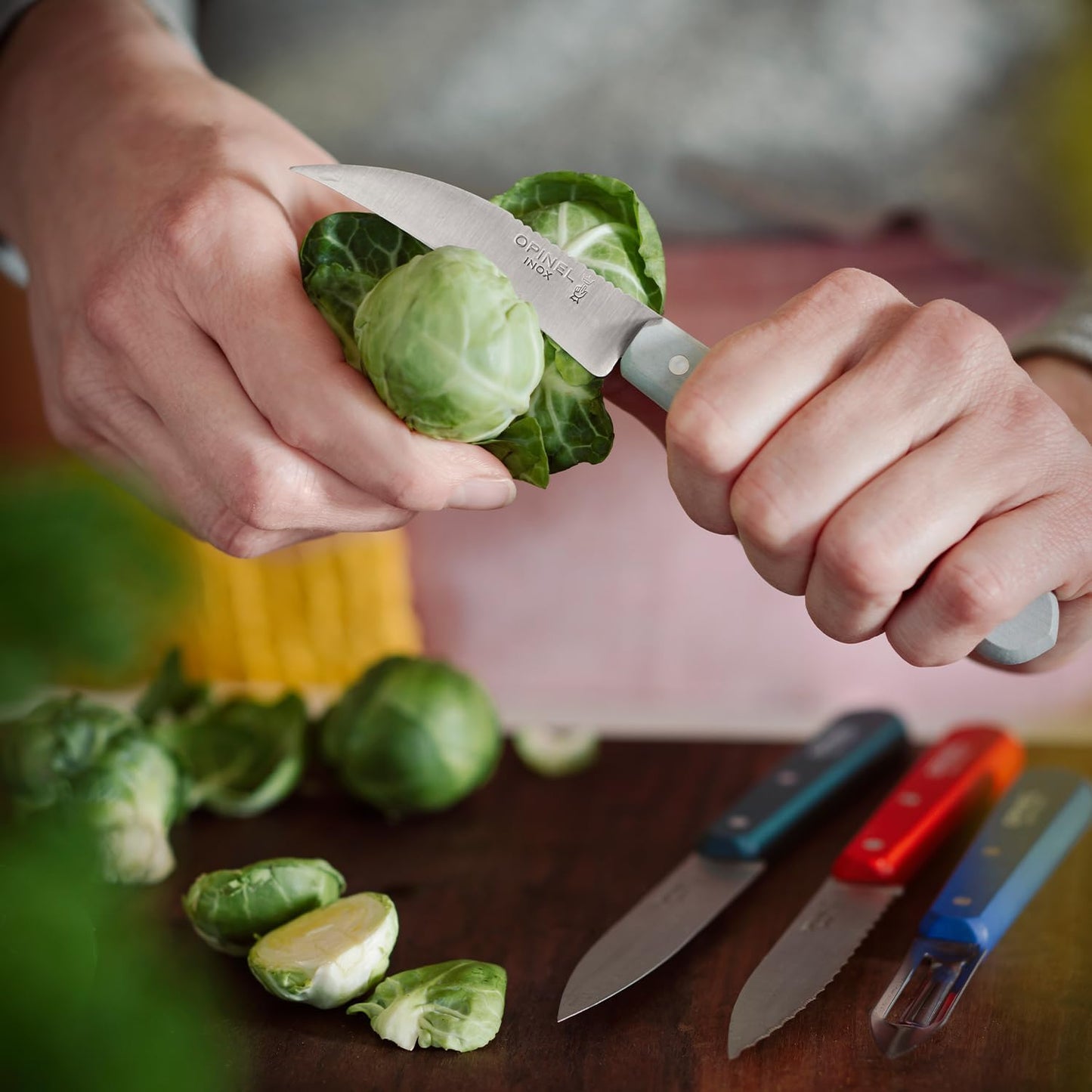 Opinel Les Essentiels | Primo