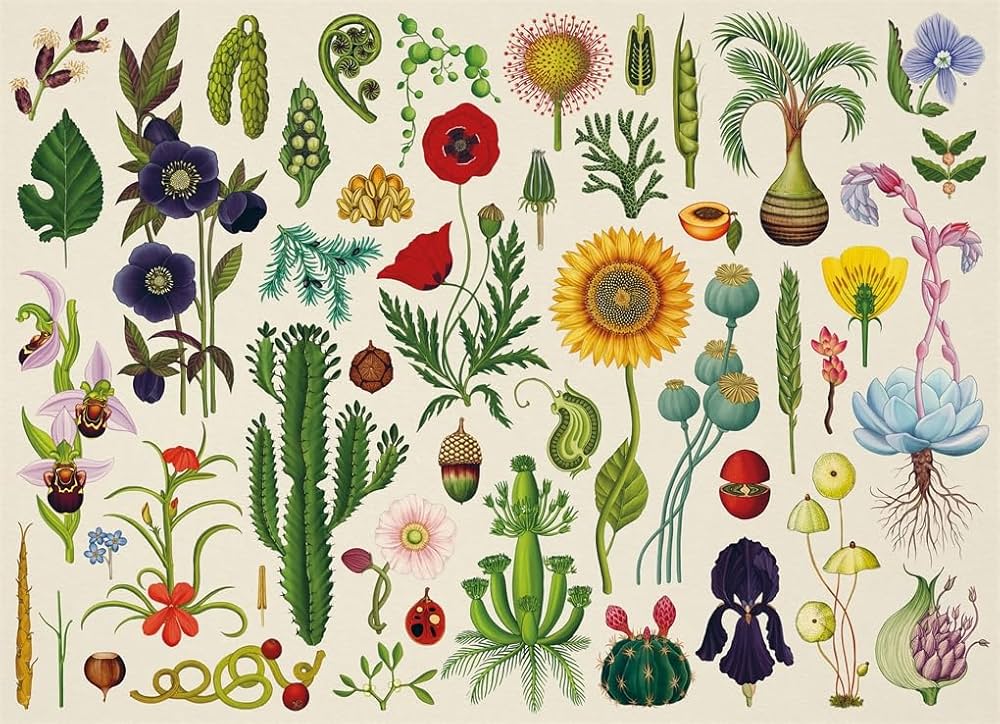 Botanicum | 1000-Piece Jigsaw Puzzle