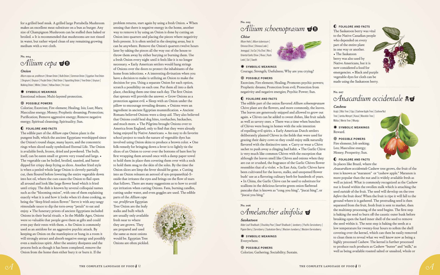 The Complete Language of Food | S. Theresa Dietz