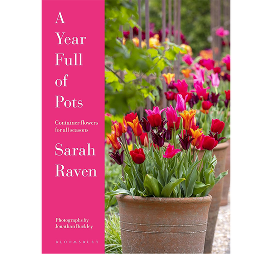 A Year Full of Pots | Container Flowers for All Seasons | Sarah Raven