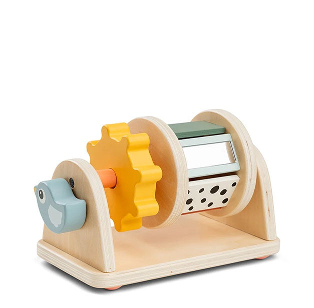 Spinner Activity Toy | Birdee