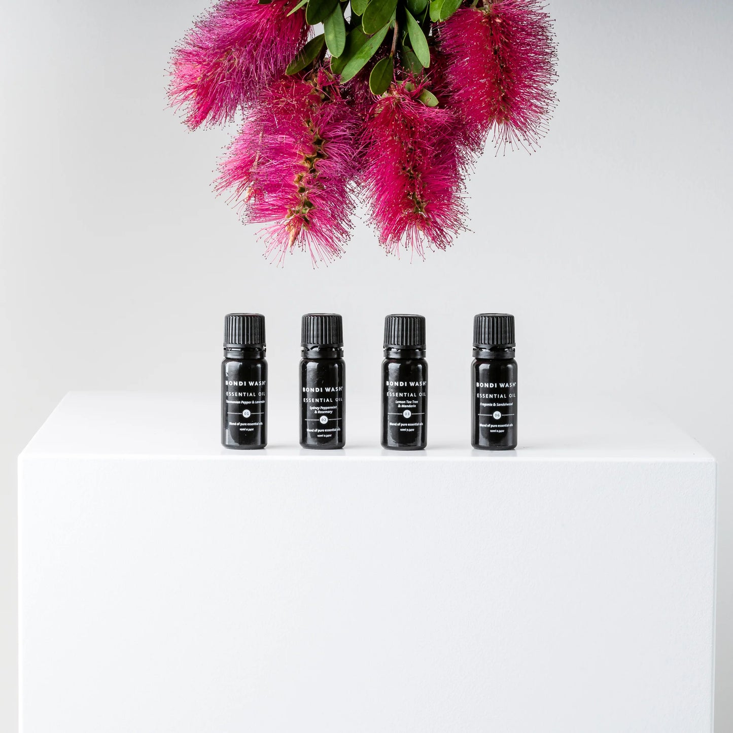 Essential Oil | Tasmanian Pepper + Lavender | 10ml