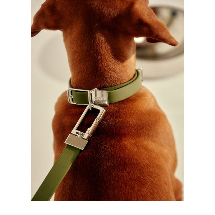 Pet Lead | Khaki