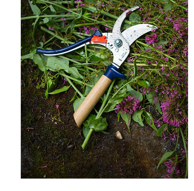 Opinel Secateurs