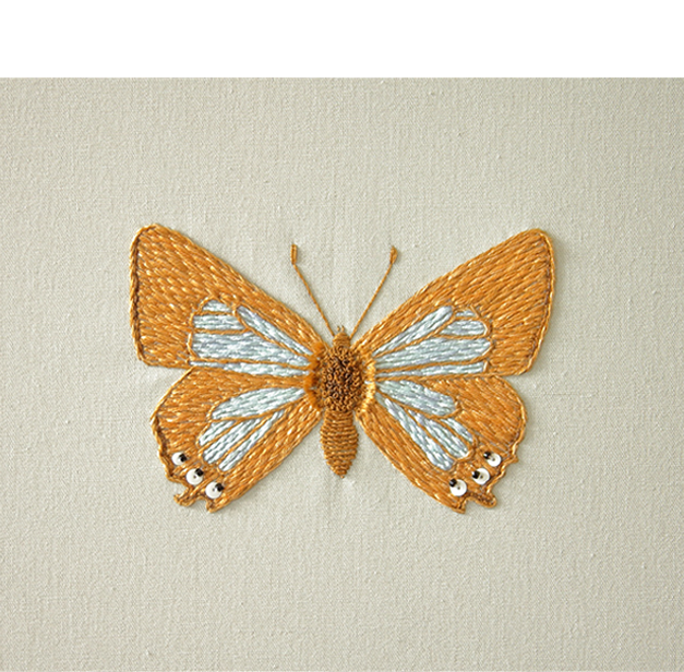 Cheryl Hutchens | Waterhouse’s Hairstreak