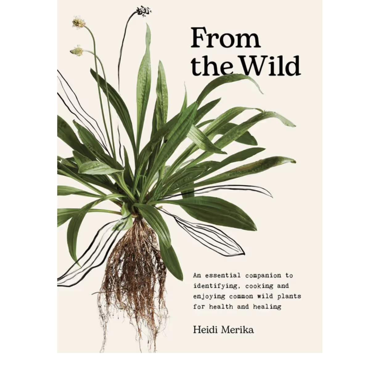 From The Wild | Heidi Merika