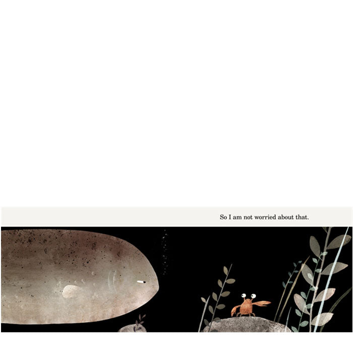 This Is Not My Hat | Jon Klassen