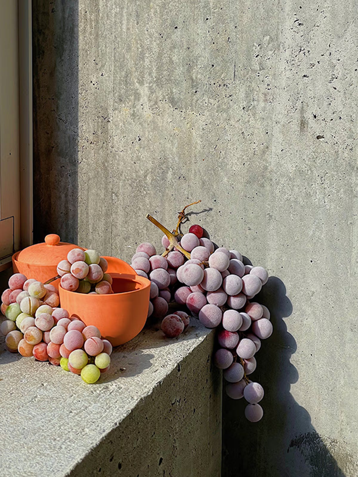 Cellar | Bottle