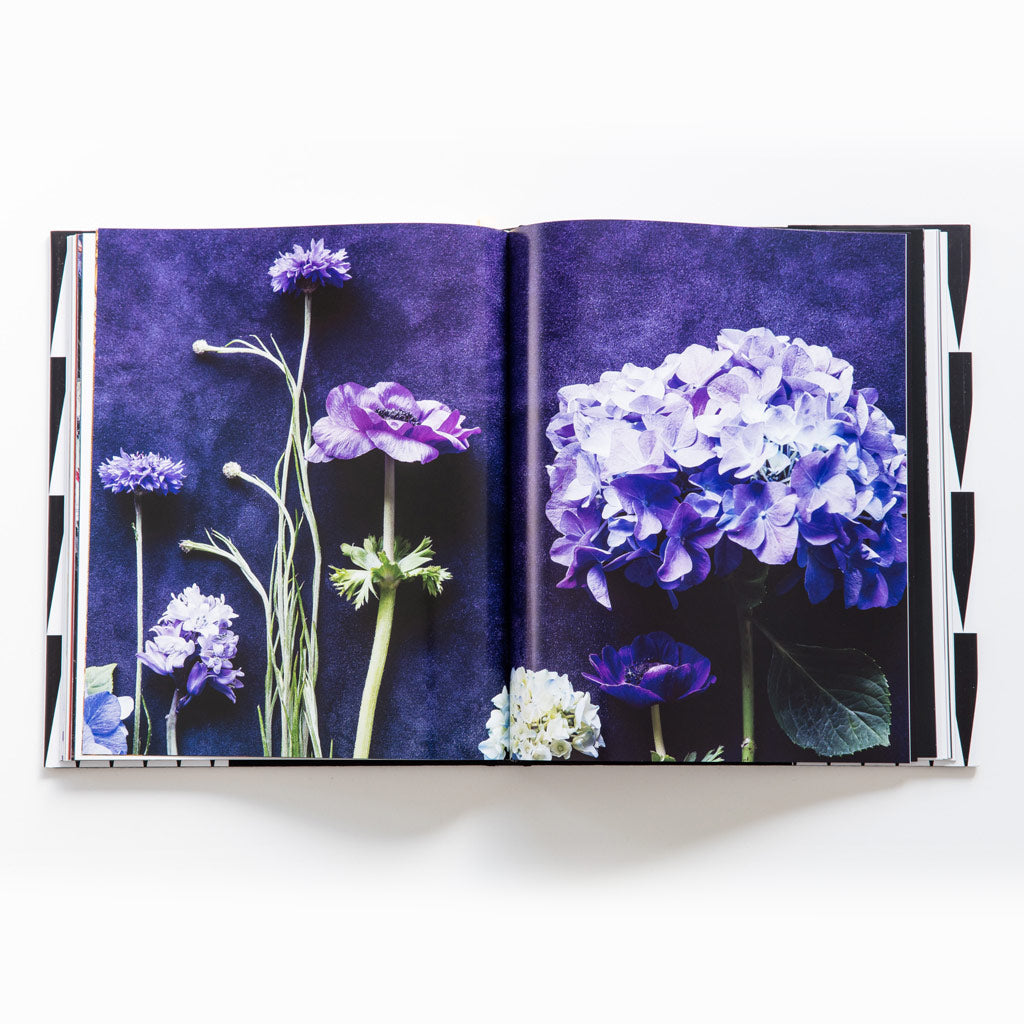 Floral Alchemy | Vicki Kerr