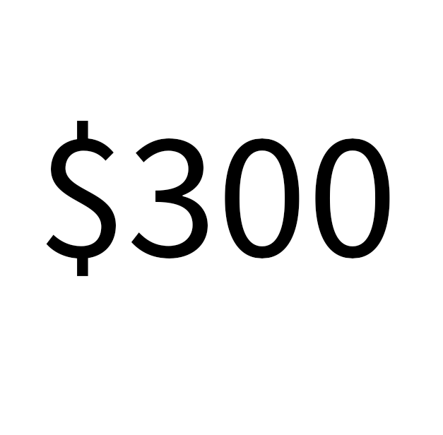 Gifts Under $300 – etienne