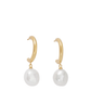 Pearl Drop Hoops | 18k Gold Plated