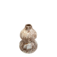 Lotus Seed Vase | Cappucino