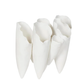 Antje Cone Vase | White