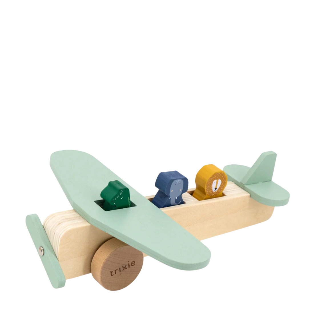 Wooden Animal Airplane