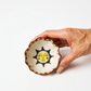 Paloma Dish | Sun