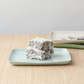 Square Platter | Pistachio | Medium