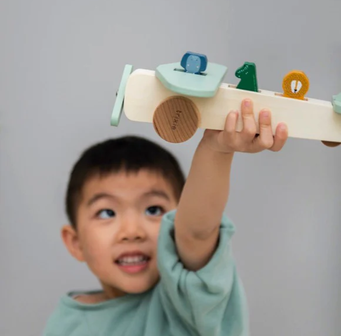 Wooden Animal Airplane