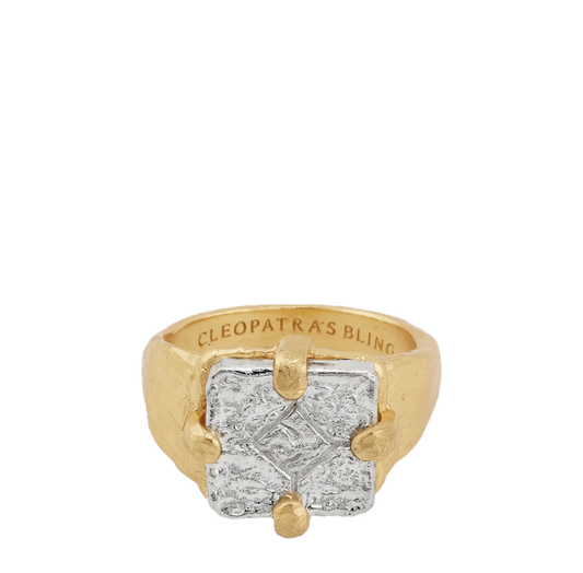 Parian Signet Ring | 18K Gold Plated