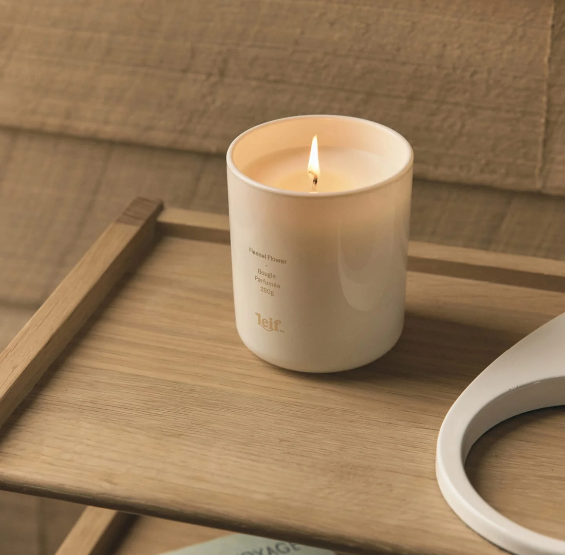 Candle | Flannel Flower