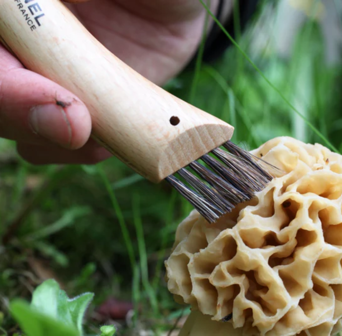 Opinel N°08 Mushroom Knife