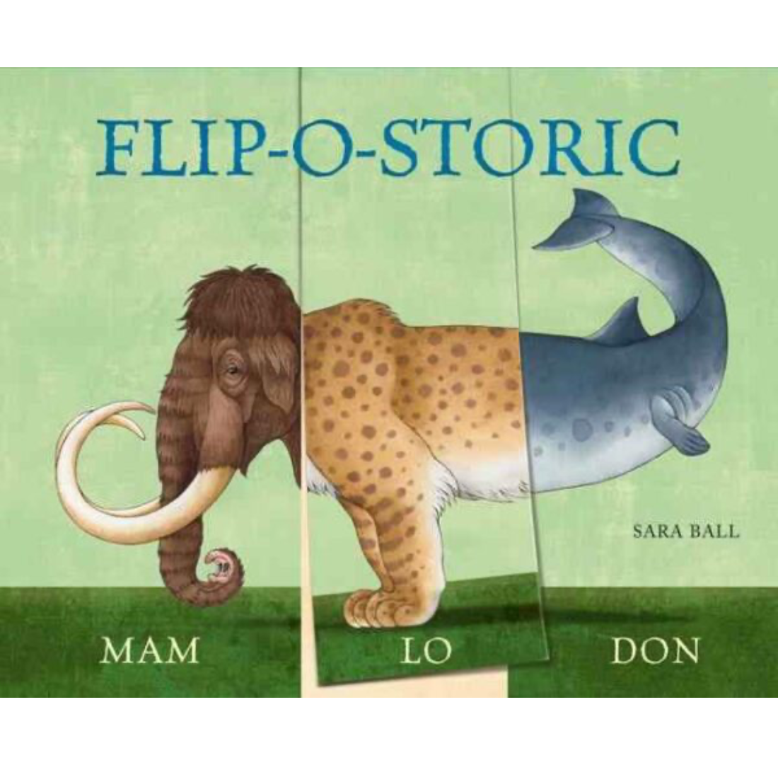 Flip-o-Storic | Sara Ball