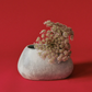 Oval Rock Vase | Cloud