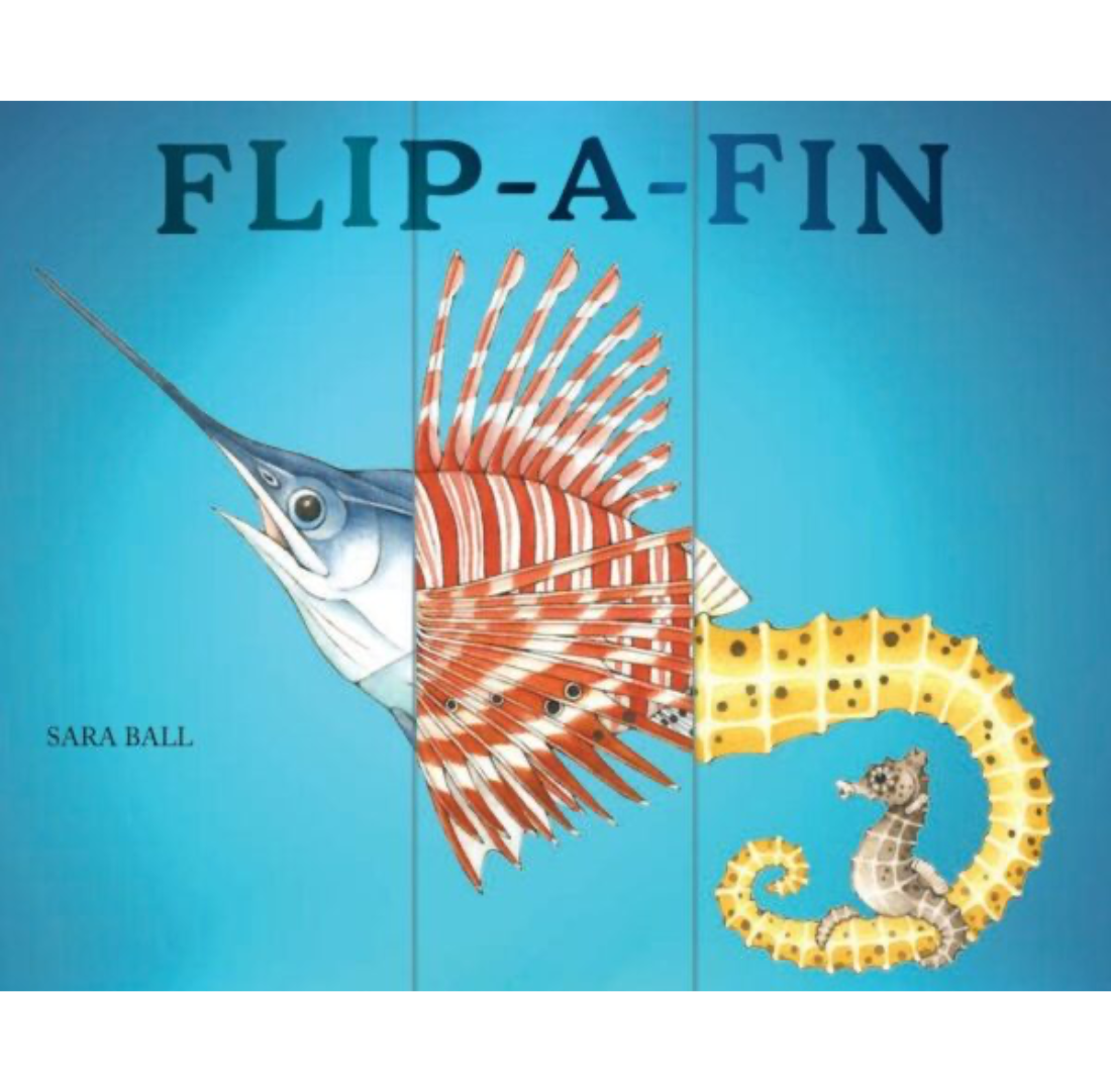 Flip-a-Fin | Sara Ball