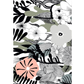Marimekko 50 Postcards