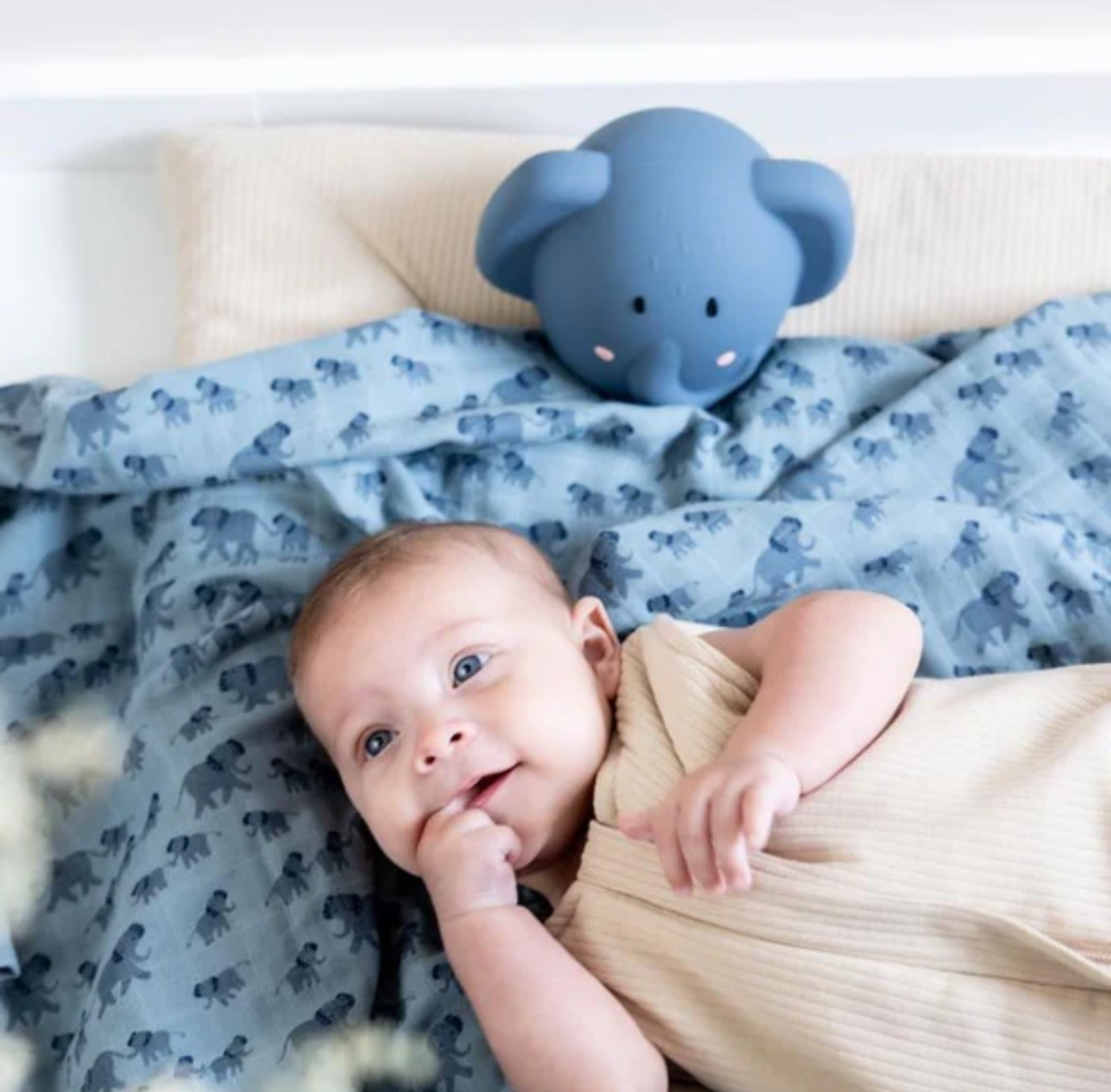 Night Light | Mrs Elephant