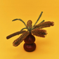 Lotus Seed Vase | Crimson