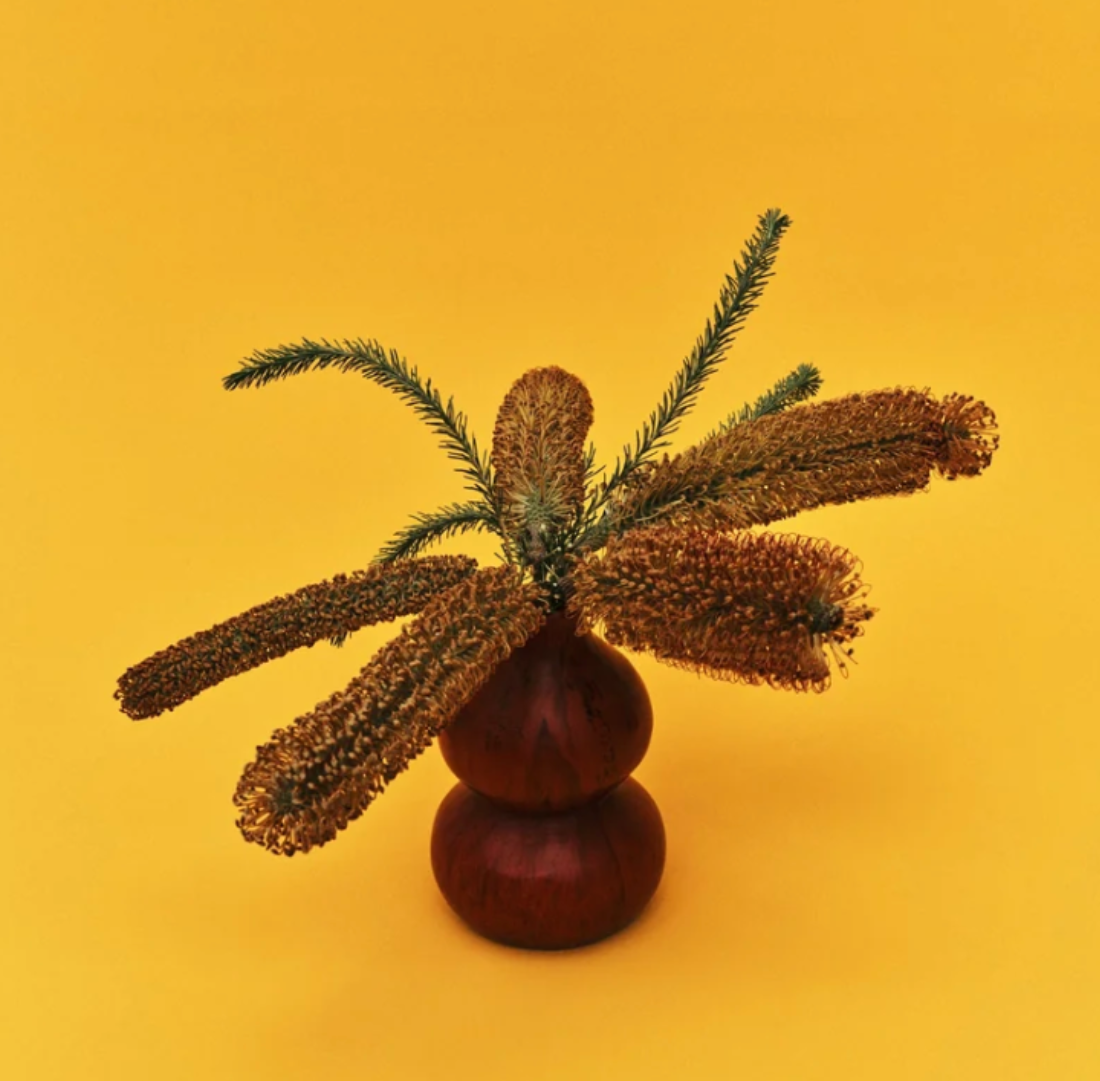 Lotus Seed Vase | Crimson