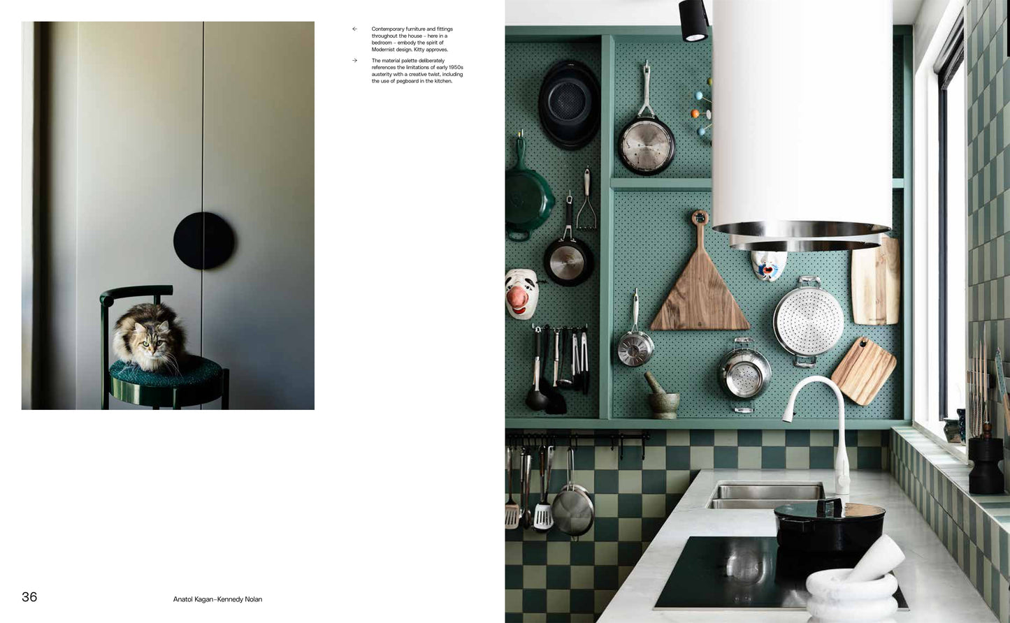 The New Modernist House | Patricia Callan