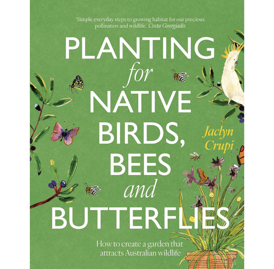 Planting For Native Birds, Bees & Butterflies | Jaclyn Crupi