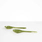 Stone Servers | Olive