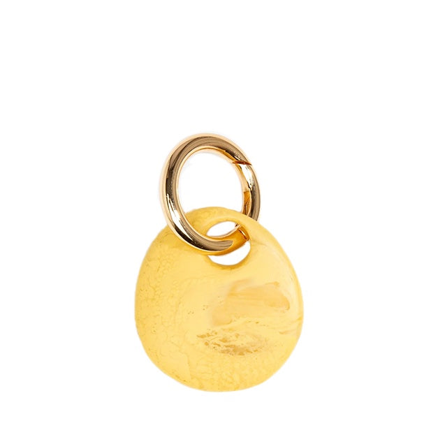 Earth Keyring | Pollen | Brass