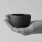 Sugar Bowl | Citrus