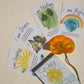 SunChild Affirmation Cards