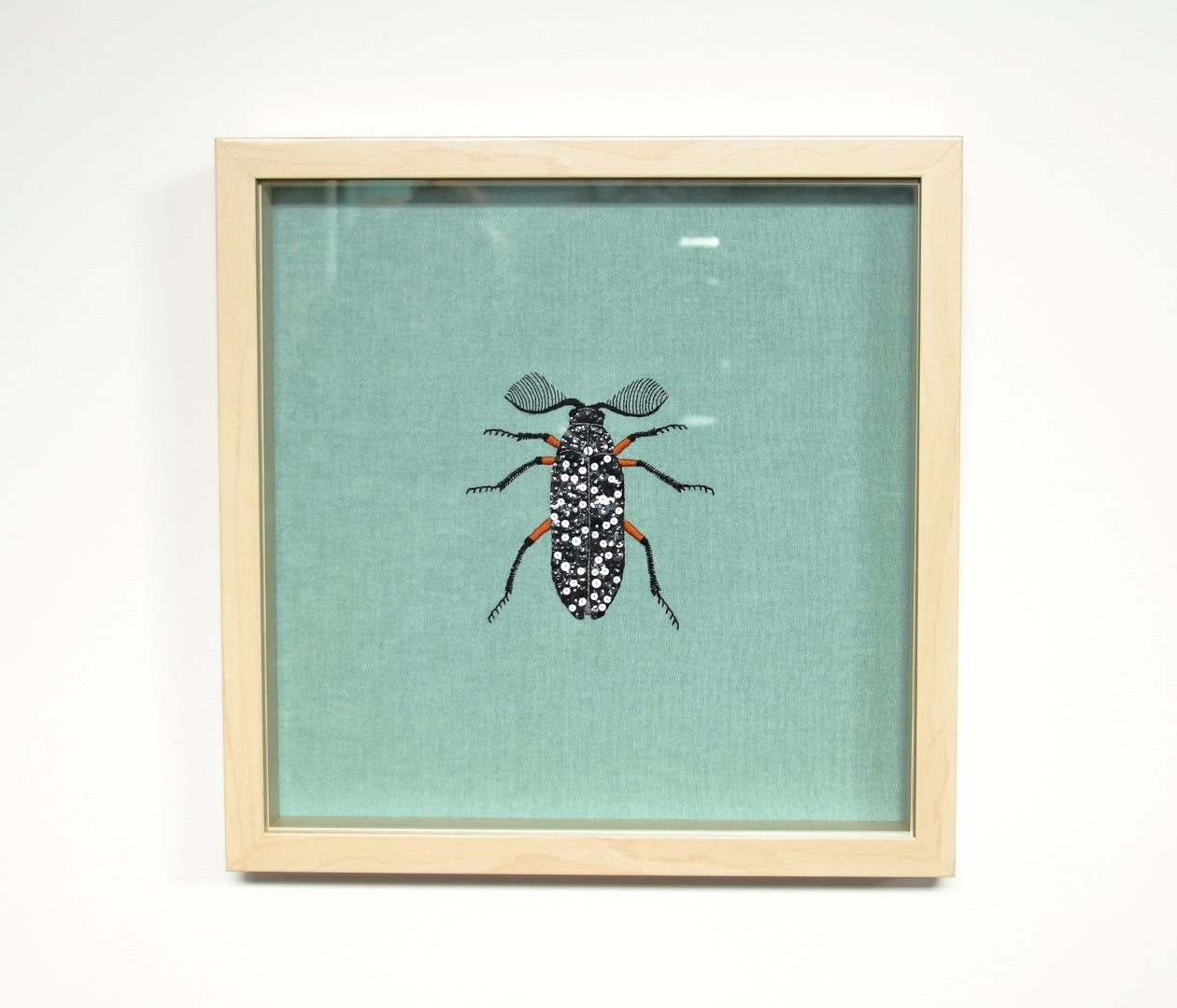 Cheryl Hutchens | Feather-horned Beetle