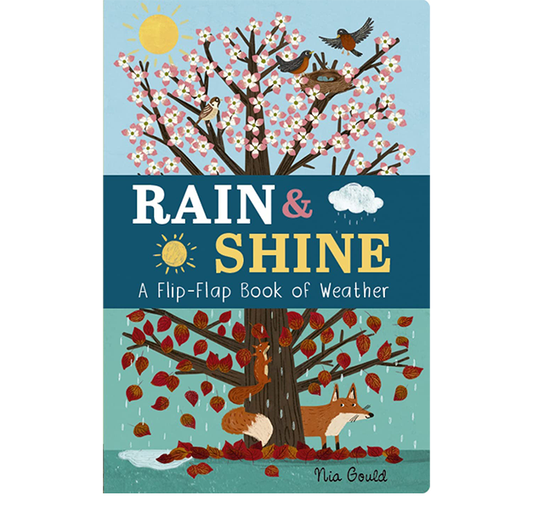 Rain & Shine | A Flip Flap Book Of Weather | Molly Littleboy