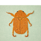 Cheryl Hutchens | Christmas Beetle
