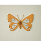 Cheryl Hutchens | Waterhouse’s Hairstreak