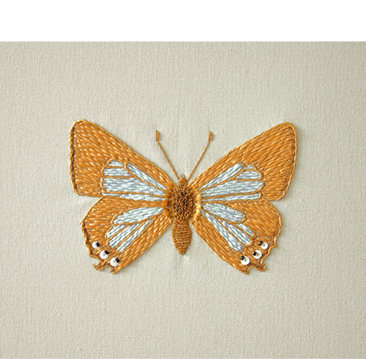 Cheryl Hutchens | Waterhouse’s Hairstreak
