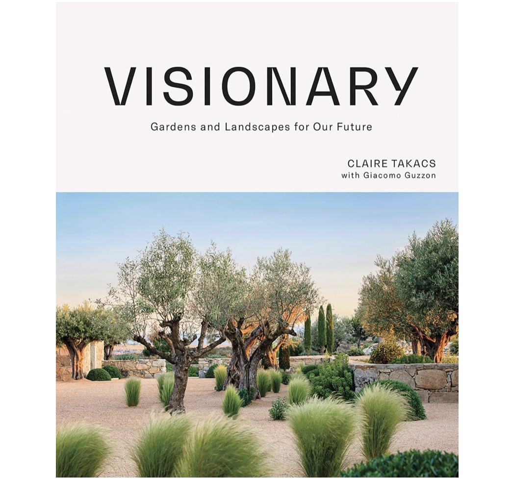 Visionary | Claire Takacs + Giacomo Guzzon