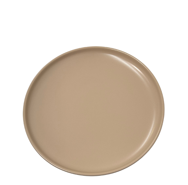 Swim Dinner Plate | Biscotti | Set 4